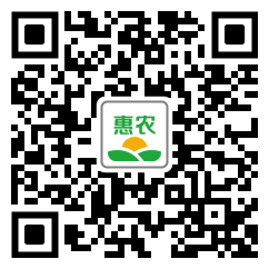 [鸡骨草相思藤叶 茶厂直销 相思藤 炒相思藤价格40斤